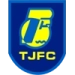 logo Tianjin Samsung