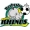 logo Rochester Raging Rhinos