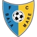 logo Maramureş Baia Mare