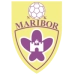 logo Maribor Branik