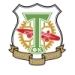 logo Torpedo-Metallurg