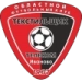 logo Tekstilshchik Ivanovo