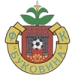 logo Bukovyna Chernivtsi