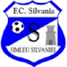 logo Silvania Simleu Silvaniei