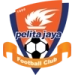 logo Pelita Jaya Karawang