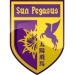 logo Sun Pegasus