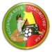 logo Lokomotiv Liski