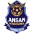 logo Chungnam Asan