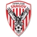 logo Snagov