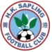 logo HK Sapling