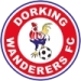 logo Dorking Wanderers