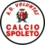 logo Voluntas Spoleto