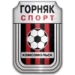 logo Girnyk-Sport