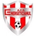 logo Energeticianul