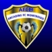 logo Arcadins FC