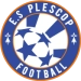 logo Plescop