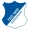 logo Hoffenheim Fém.