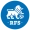 logo Daugava/RFS