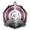 logo Lokomotiv Abakan