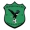 logo Super Eagles