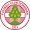logo FC Dornbirn Fém.