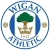 logo Wigan B