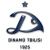 logo Dinamo Tbilissi B