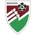 logo Maldives