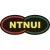logo NTNUI
