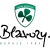 logo Blavozy