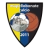logo MapelloBonate Calcio
