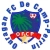 logo Ouragan FC