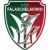 logo Falaschelavinio