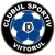 logo Viitorul Daesti