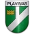 logo Plavinas DM