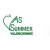 logo Summer Valenciennes