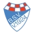 logo Brinkumer SV