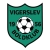 logo Vigerslev