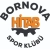 logo Bornova Hitabspor Fém.