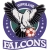 logo Morwell Falcons