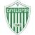 logo Cayeli Spor