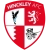 logo Hinckley United