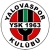 logo Yalovaspor