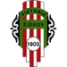 logo Viktoria Zizkov