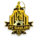 logo Futbolo akademija 