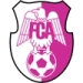 logo Dinamo Pitestti