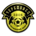 logo Sheksna Cherepovets