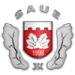 logo Saue