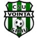 logo Vointa Sibiu