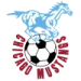 logo Chicago Mustangs